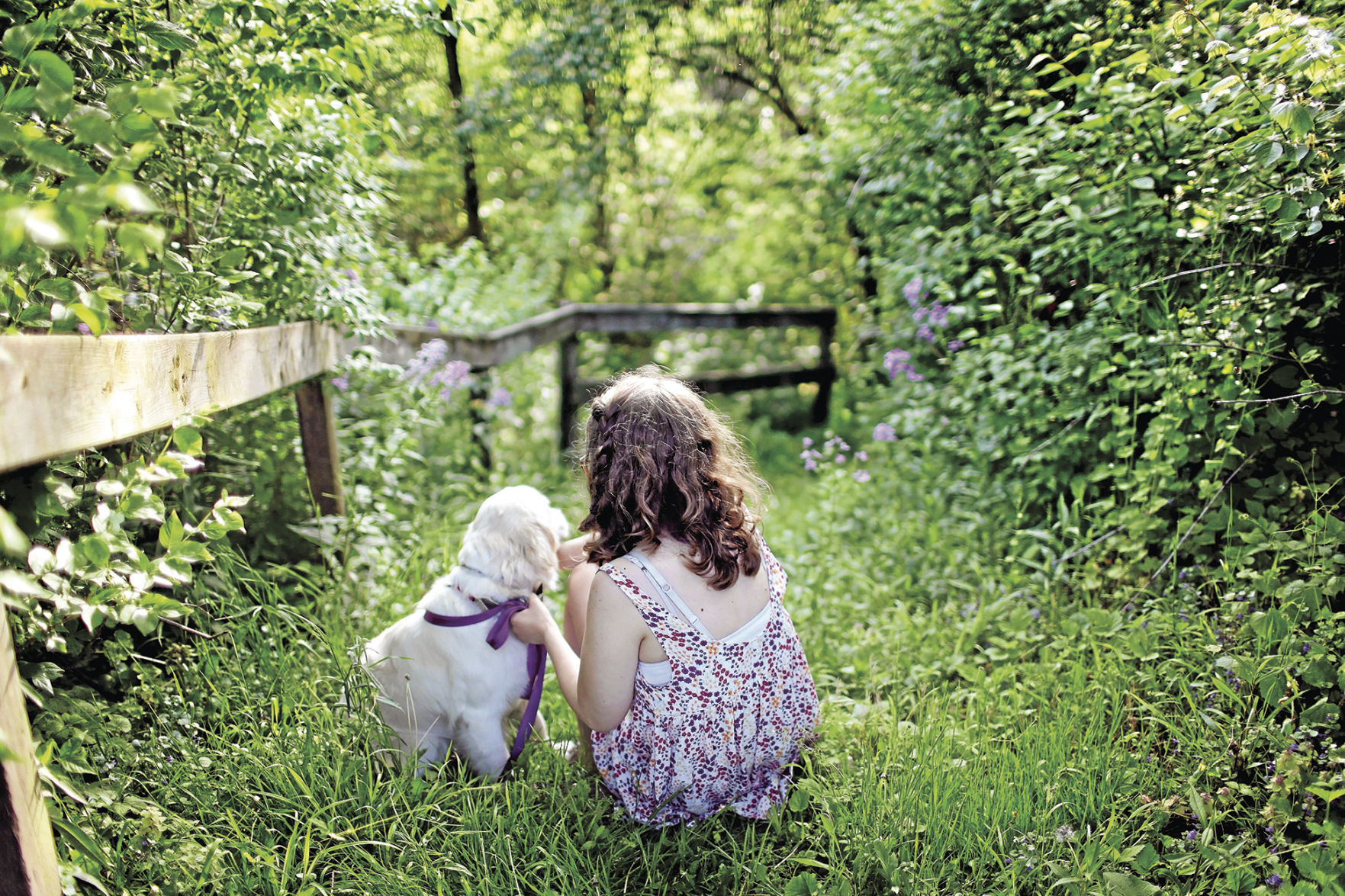 girl-and-puppy-sitting-on-green-grass-surrounded-with-shrubs-193035 (1)_CMYK2.jpg